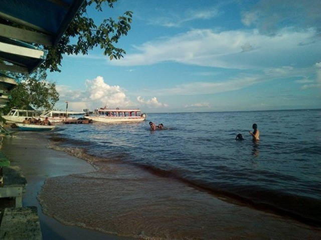 Une plage de sable en amazonie